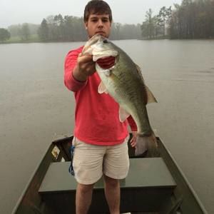 Meet your Posher, Logan